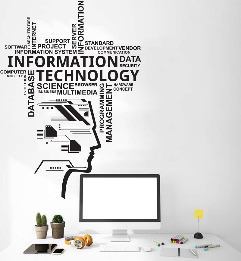 Information Technology Vinyl W - Information Technology Officer recension och pris